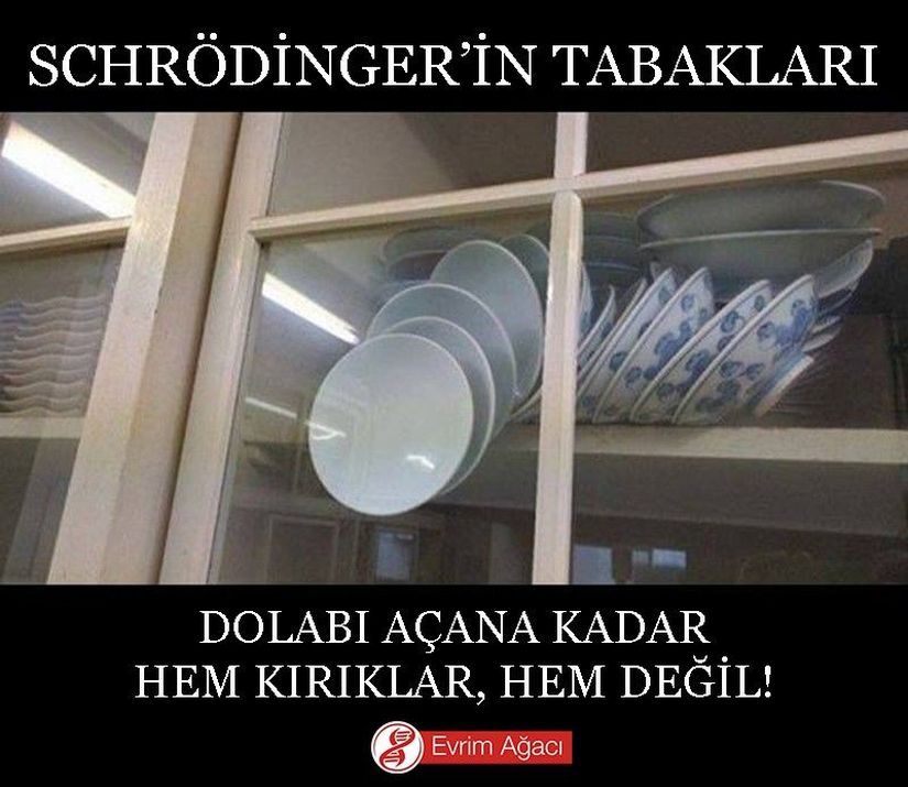 Dolabı açana kadar hem kırıklar hem değil!