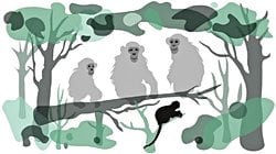 İş Birlikçi Avlanma, Sanıldığı Kadar Karmaşık Bilişsel Süreçler Gerektirmiyor!