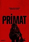 Primat