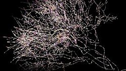 Tarih Öncesi Virüsler ve Beynin Fonksiyonu