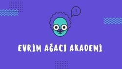 Evrim Ağacı Akademi Nedir?