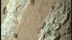 NASA Mars'ta yaşam belirtisi buldu