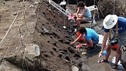 780.000 Yıllık Keşif, İlk İnsanların Bitki Bazlı Diyetle Beslendiğini Ortaya Koyuyor!