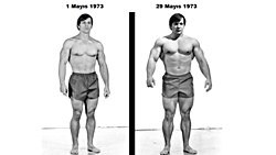 Colorado Deneyi ; kısa sürede çılgınca kas kütlesi arttırma