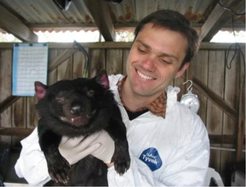 Araştırmacı Alex Kreiss, Avustralya'nın Hobart kentindeki Tazmanya Üniversitesi'ne bağlı Menzies Araştırma Enstitüsü'nde Tazmanya Şeytanı "Cedric"i tutuyor. Bir zamanlar, ikonik Tazmanya canavarlarını yok olma tehlikesiyle karşı karşıya getiren bulaşıcı yüz kanserine karşı bağışık olduğu düşünülen Cedric, hastalığa yenik düştükten sonra, ötenazi uygulanarak hayatına son verildi.