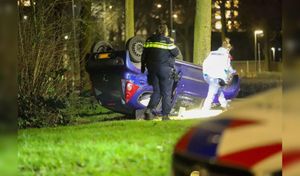 Driver Crashes Into Ditch After Missing Turn