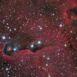  The Elephant's Trunk Nebula in Cepheus 