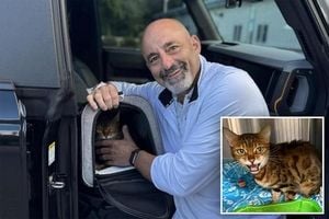 Microchips Reunite Lost Cats With Families After Years