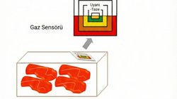 Gıda Ambalajında Nanoteknolojinin Kullanılması