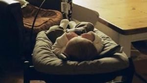 Liam Gallagher Welcomes First Grandchild As Family Reunites