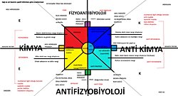 Kuantum Zeka, Kimya ve Kutsal Dörtlü: