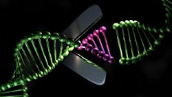 Crıspr-Cas9 ve Epigenetik