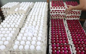 Philippines Takes Steps To Prevent Egg Shortage Amid Bird Flu Threat