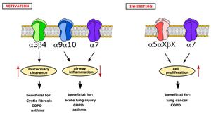 Innovative Nanoparticles Enhance Targeting Of Brain Nicotinic Receptors