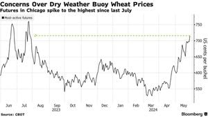 Wheat Prices Expected To Skyrocket In 2024