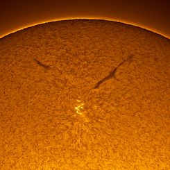 Sunspot in the Old Solar Cycle