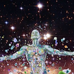  Human as Spaceship 