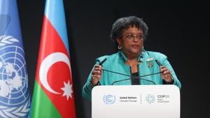 Nations Seek Innovative Financing At COP29 To Combat Climate Change