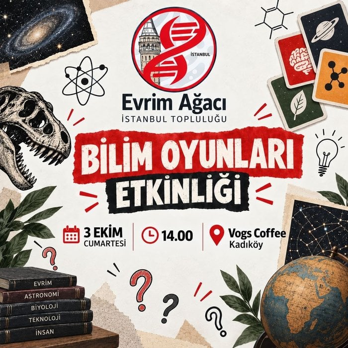 Bilim Oyunları Etkinliği