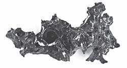 Pompeii’de Beyinler Neden Cama Dönüştü? Bilim İnsanları Açıklıyor!