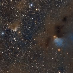  Dusty Nebulae in Taurus 