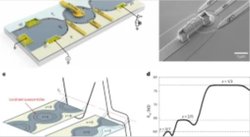 Bir kiral Mach-Zehnder interferometresinde anyonik örgüler