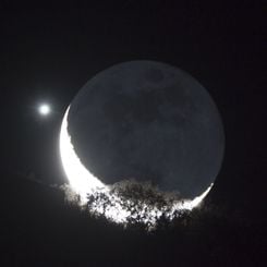  Moon and Venus Appulse over a Tree 