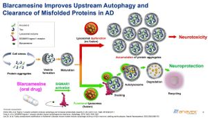 Anavex Life Sciences Secures New Patent For ANAVEX®2-73