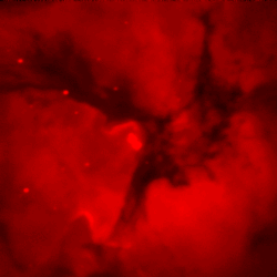 Hidrojen Trifid