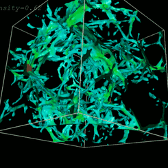 The Lyman Alpha Forest