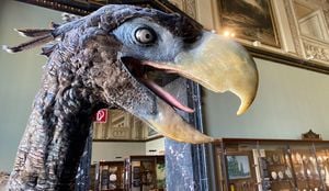 Giant Terror Bird Fossil Found In Colombia Unveils Prehistoric Predator