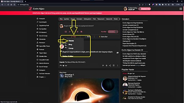 Evrim Ağacı Sosyal Komünite Aracı'ndan "Yaz" kısmına, üzerine imleci götürdükten sonra "Makale" seçeneğini seçin.