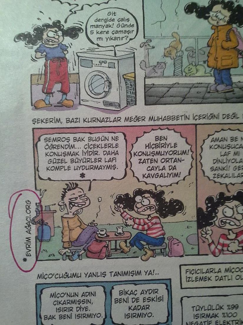 Bu konu, Penguen dergisinin 22 Ocak 2015'te basılan 644. sayısında da yer almıştır.