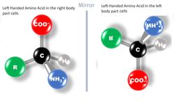 Elllik(Handedness) veya kiralite(Chirality)