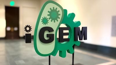 iGEM Nedir? Sentetik Biyoloji Konusunda Öğrencilerin Hayallerini Nasıl Gerçeğe Dönüştürme Fırsatı Verir?