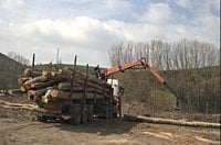 Spain wildfires: decades of rural decline made the blazes worse, but robust local economies can prevent further destruction – here’s how