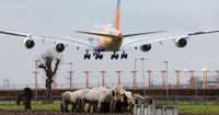 ヒースロー空港、停電で閉鎖　変電所火災が影響 - 日本経済新聞