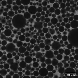 Köpük Fiziği ile Yapay Zekâ Arasında Beklenmedik Bağlantı: Köpükler AI Gibi “Öğreniyor”.