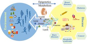 New Tool Connects Epigenetic Pathways To DNA Replication Stress