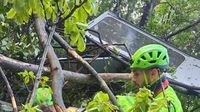 Four killed as cable car crashes to ground near Naples after wire snaps