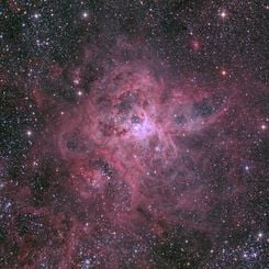  The Cosmic Web of the Tarantula Nebula 