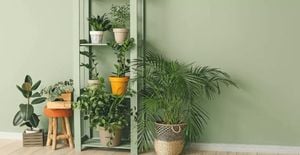 Beware Of Toxic Houseplants Threatening Children And Pets