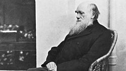 Charles Darwin'in Kendisinden Önce Gelenlerden Sentezlediği ve Kendi Bulgularıyla Geliştirdiği Evrim Teorisi'nin Kısa Bir Özeti