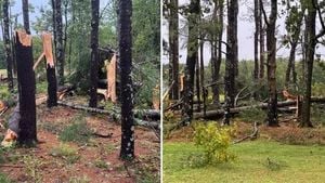 EF1 Tornado Strikes Holden As Storms Batter Massachusetts