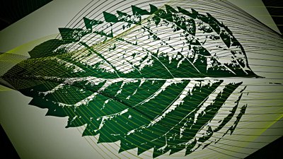 Emekleme Evresinde Bir Bilim: Kuantum Biyolojisi