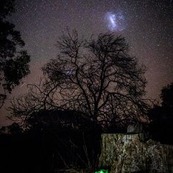 Hayalet Mantardan Macellan Bulutu’na