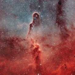 The Elephant's Trunk in IC 1396