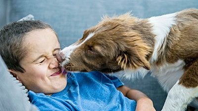 Koronavirüs Salgınında Evcil Hayvanları Nasıl Korumalıyız?