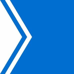 Ostrich Cull In British Columbia Sparks Outrage And Inquiry