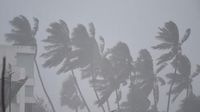 IMD West Bengal Weather: কিছুক্ষণেই...! দক্ষিণবঙ্গের ৮ জেলায় ধেয়ে আসছে ঝড়-বৃষ্টি, বজ্রপাত, ৩ জেলা কাঁপাবে ভারী বৃষ্টি! কী হবে কলকাতায়? জানিয়ে দিল IMD
